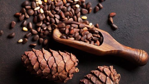 Hạt thông sấy nhập khẩu